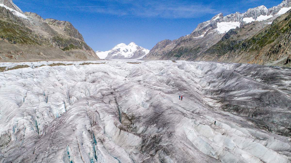 unsere wilde schweiz