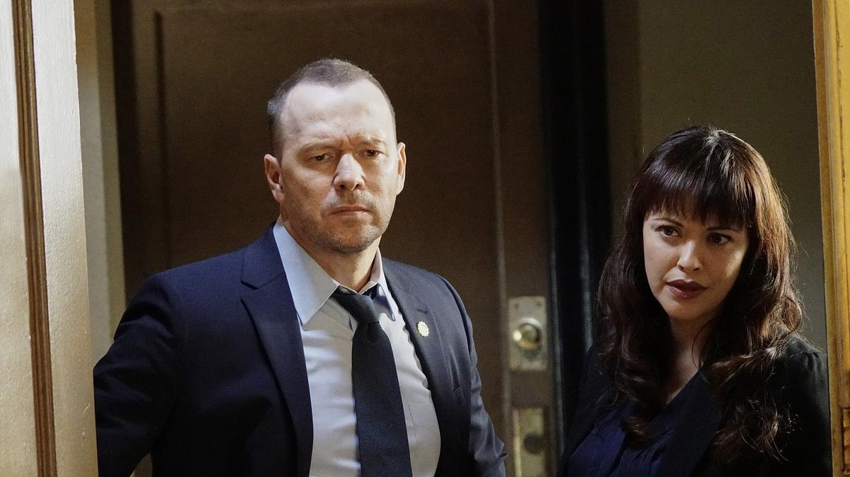 blue bloods - crime scene new york