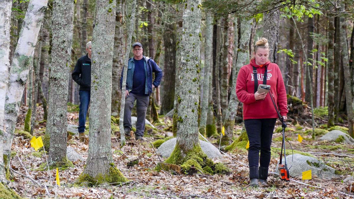oak island - fluch und legende