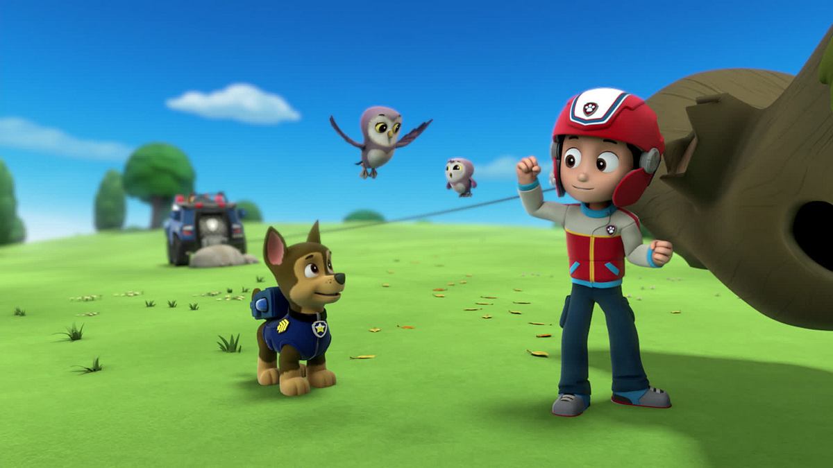 paw patrol - helfer auf vier pfoten
