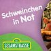 Sesamstraße Thumbnail