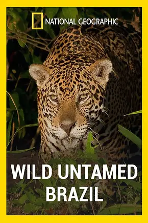 Wild Untamed Brazil - Foto: TMDB