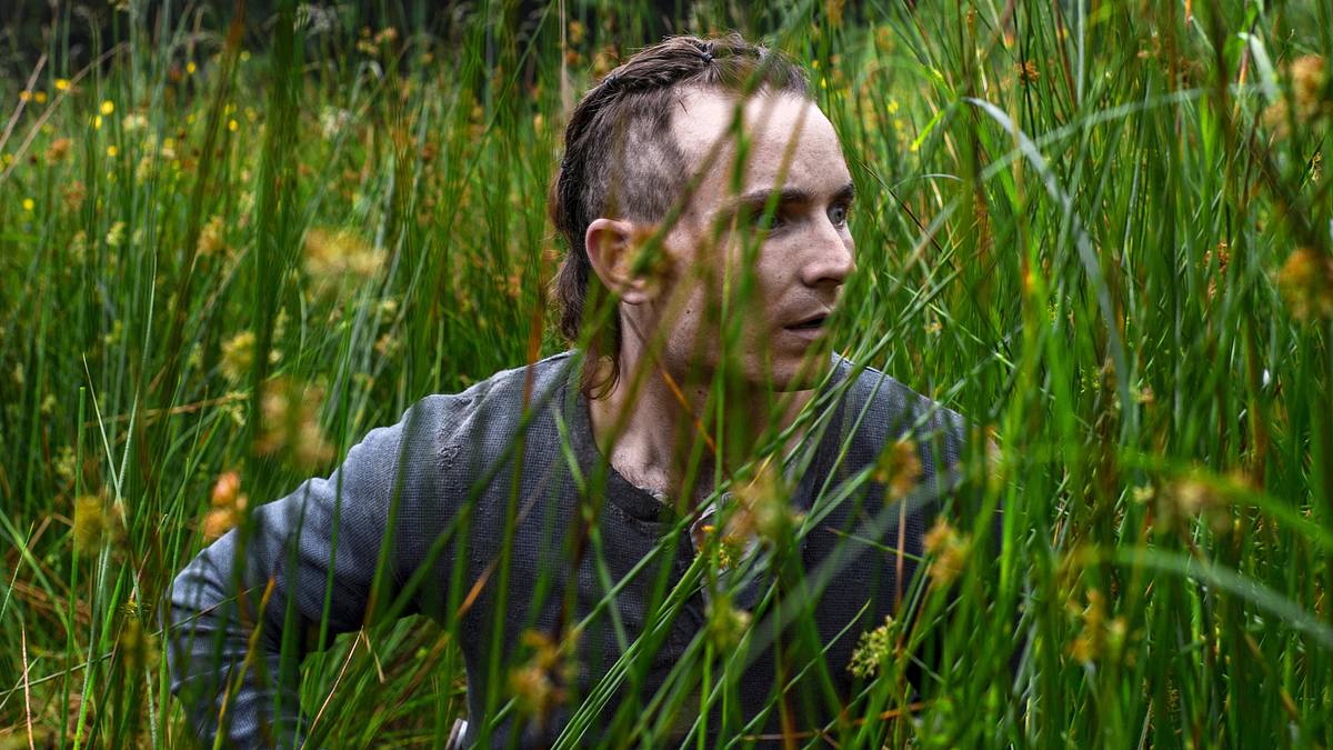 The Survivalist The Survivalist