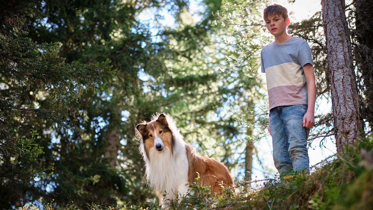 Lassie - Ein neues Abenteuer Lassie - Ein neues Abenteuer