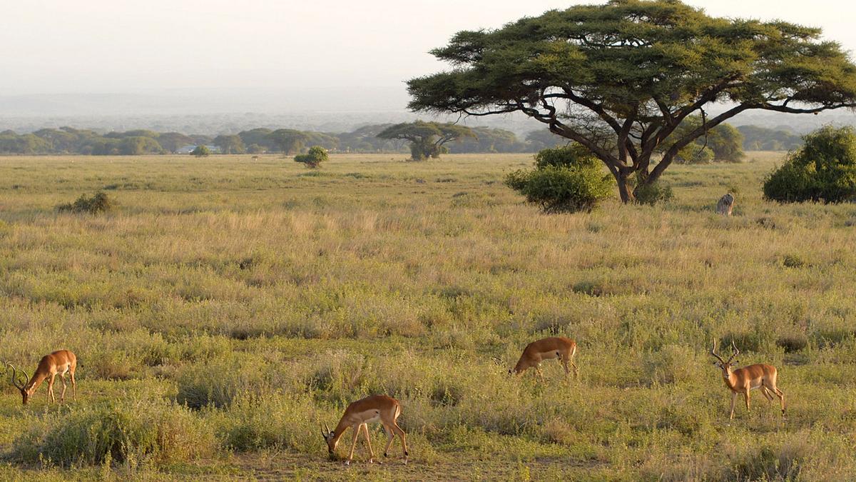 afrika von oben