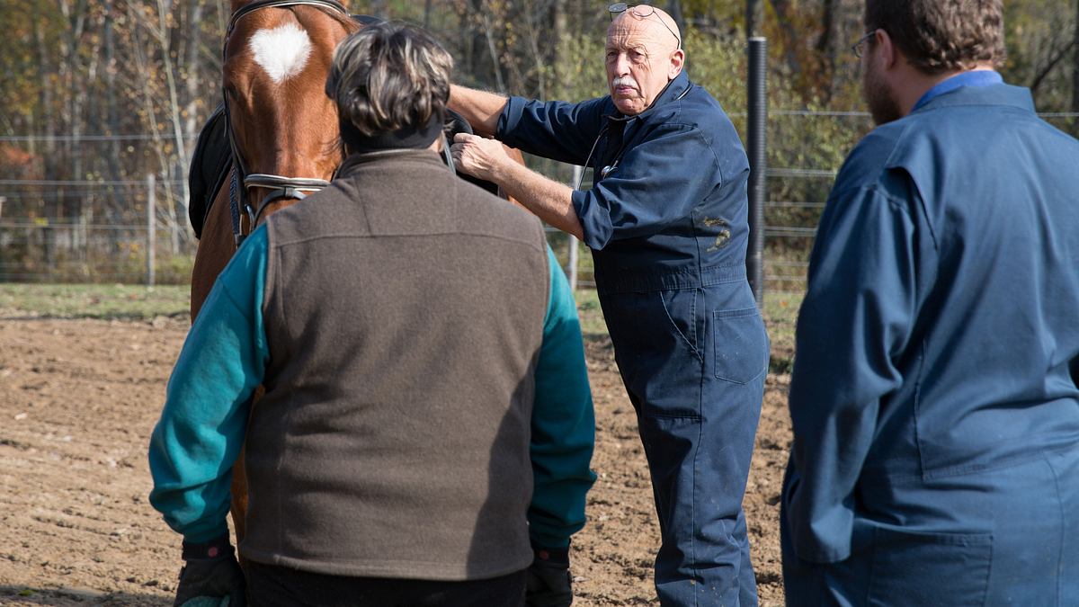 der unglaubliche dr. pol