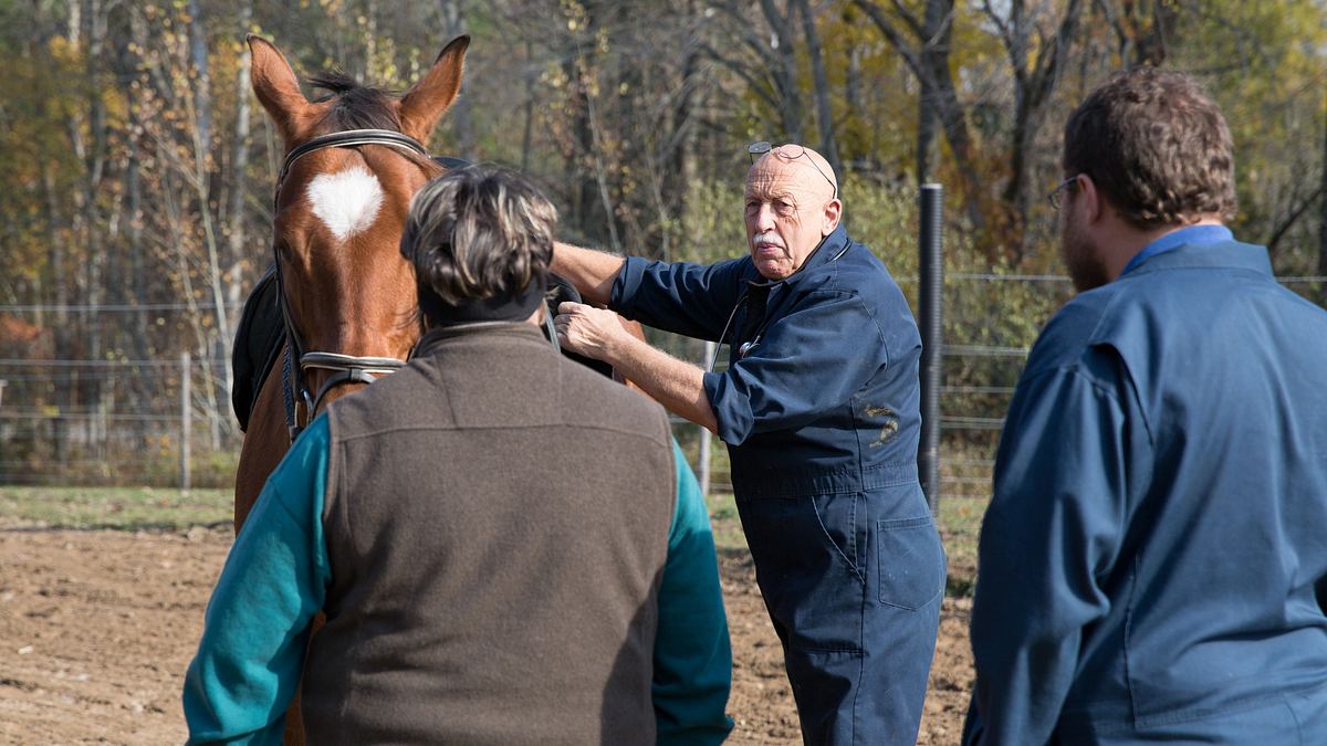 der unglaubliche dr. pol