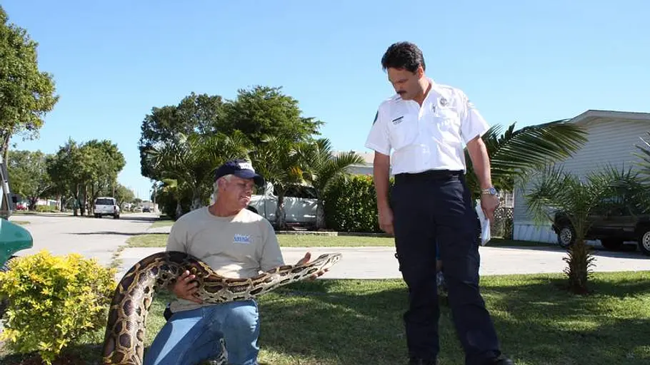 Tierpolizei Miami tierpolizei miami