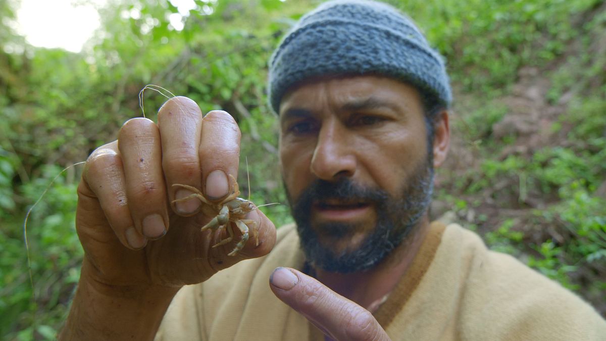 extreme survival mit hazen audel: über die anden