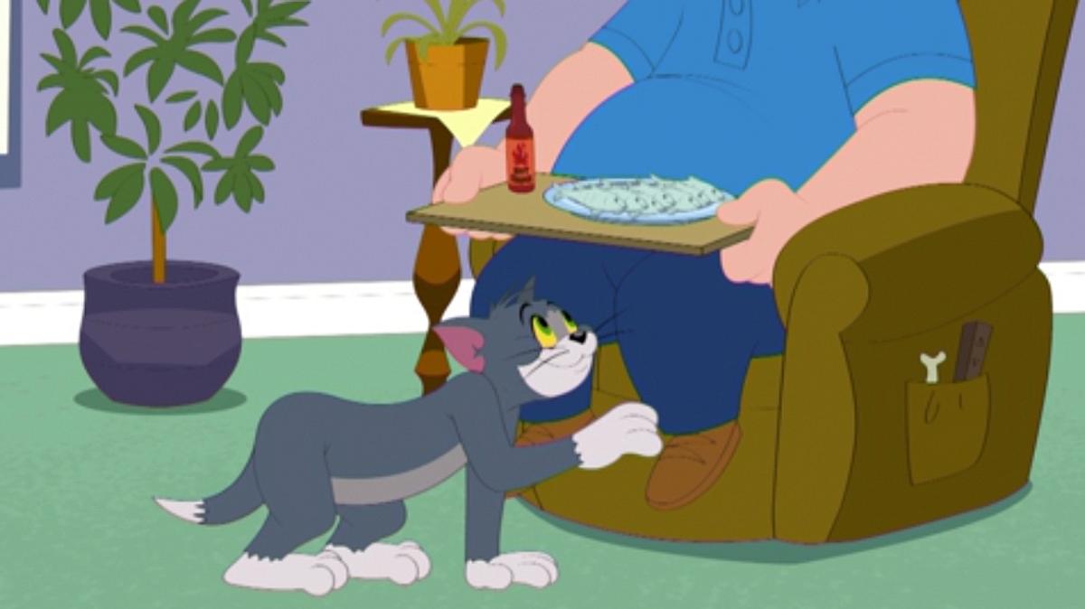 die tom und jerry show