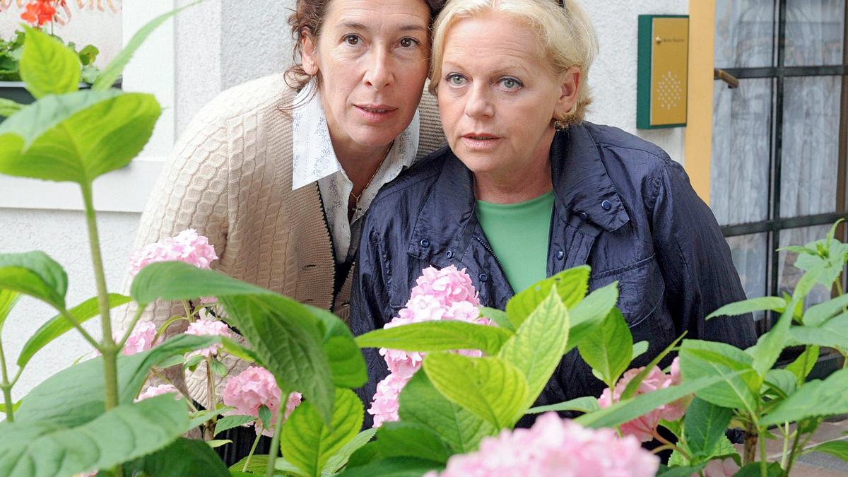 vier frauen und ein todesfall