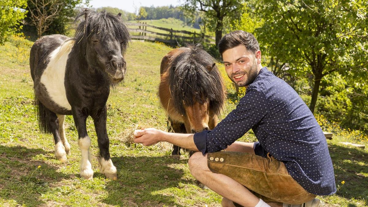 bauer sucht frau