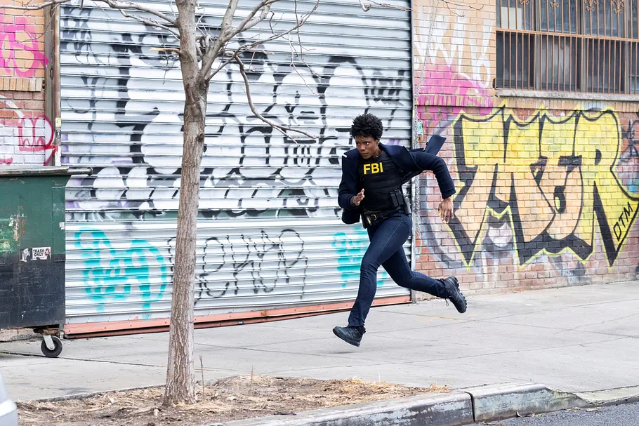 FBI: Special Crime Unit fbi: special crime unit