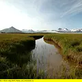 Alaskas Bären Thumbnail