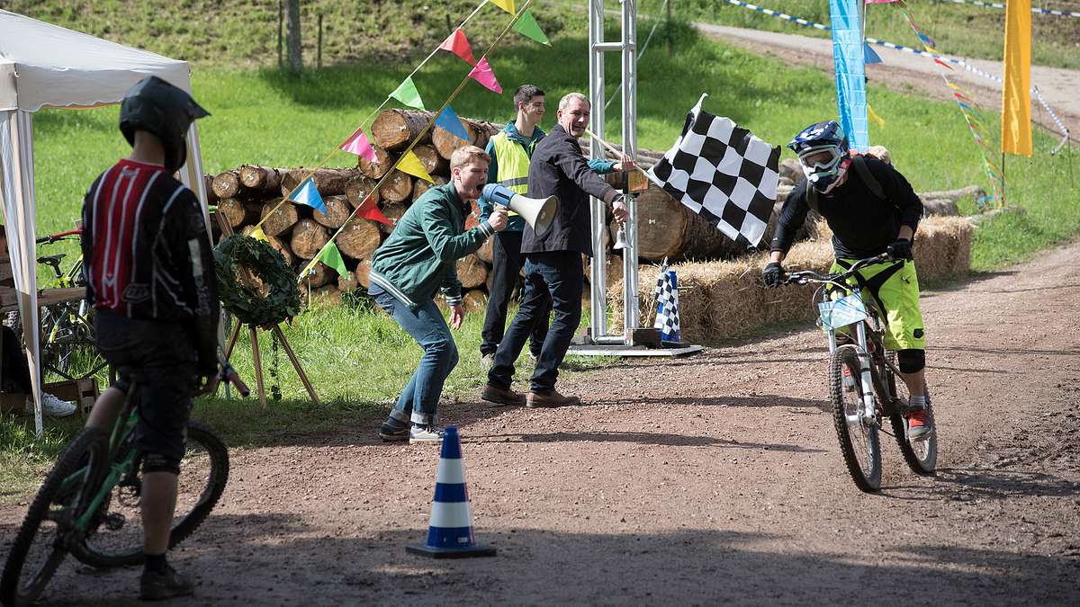 tiere bis unters dach