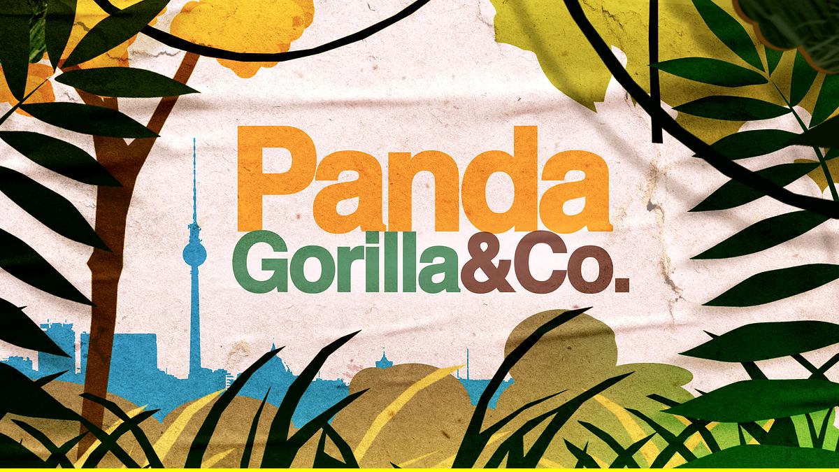 panda, gorilla & co.