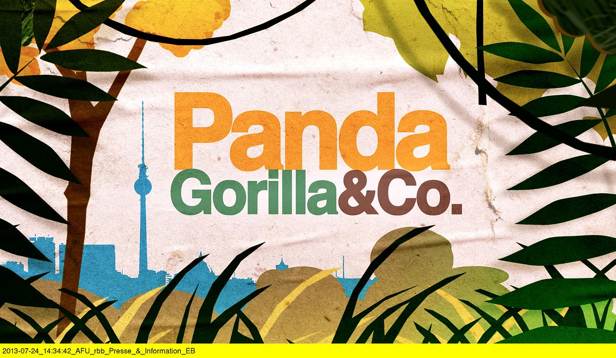 panda, gorilla & co.