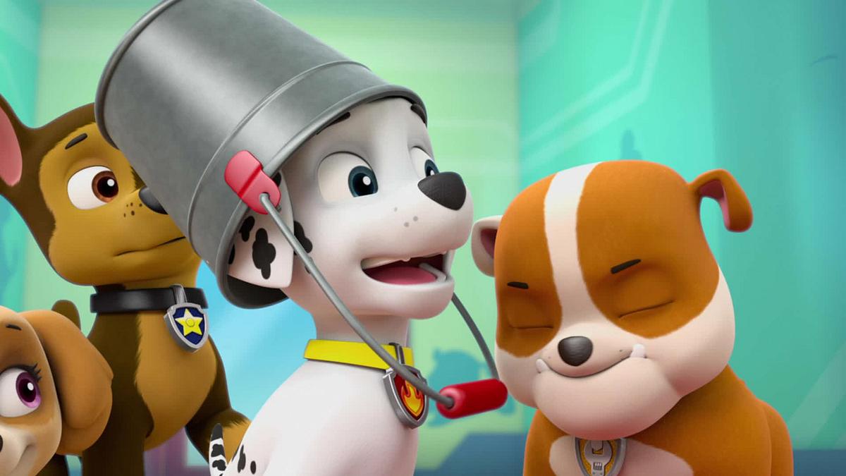 Paw Patrol - Helfer auf vier Pfoten paw patrol - helfer auf vier pfoten