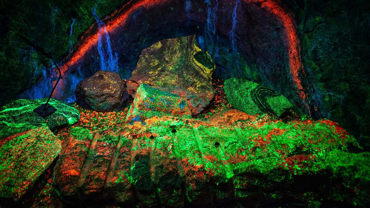 geheime welten - reise in die tiefe