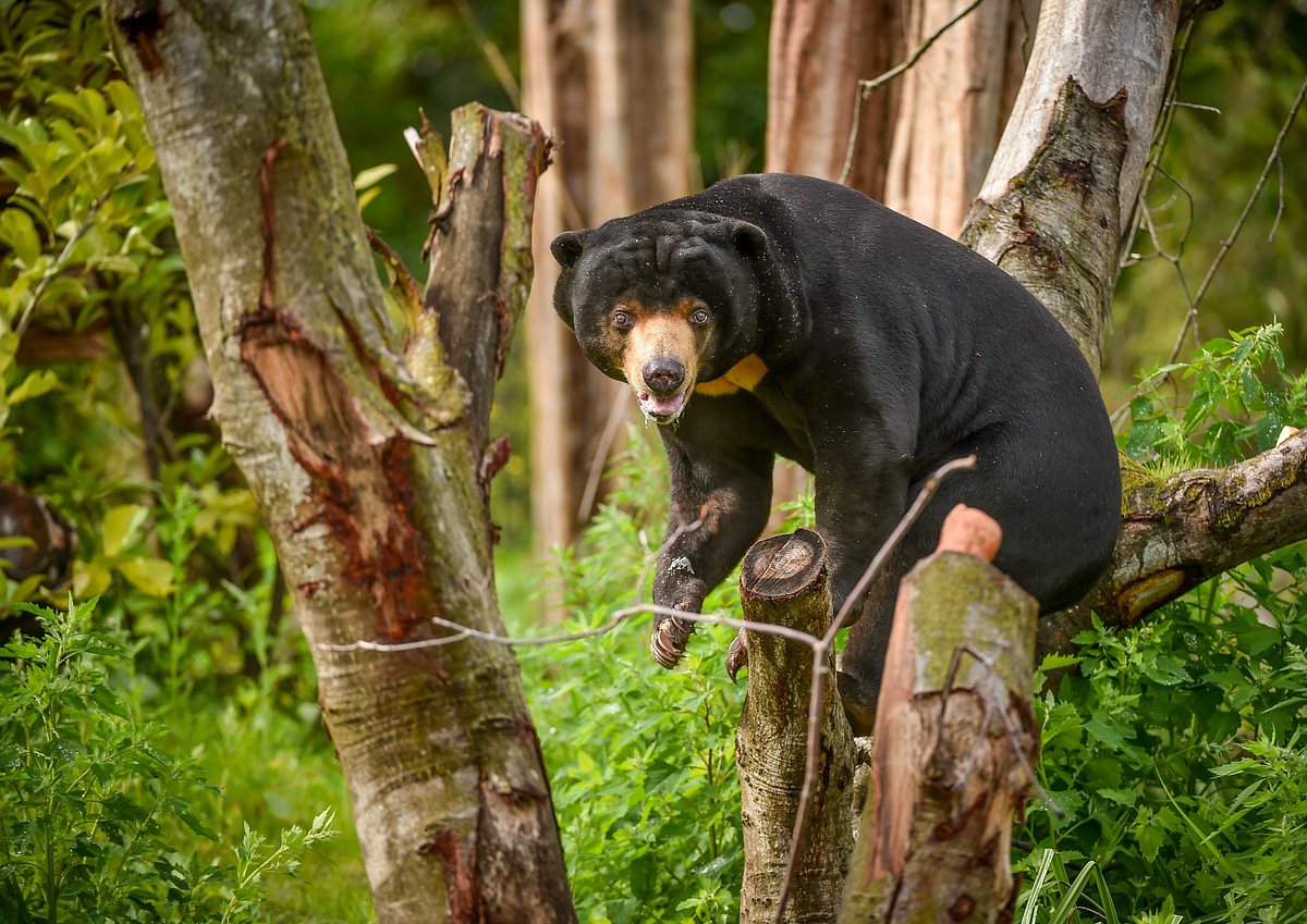 Zoo und so - Tierisch wild! zoo und so - tierisch wild!