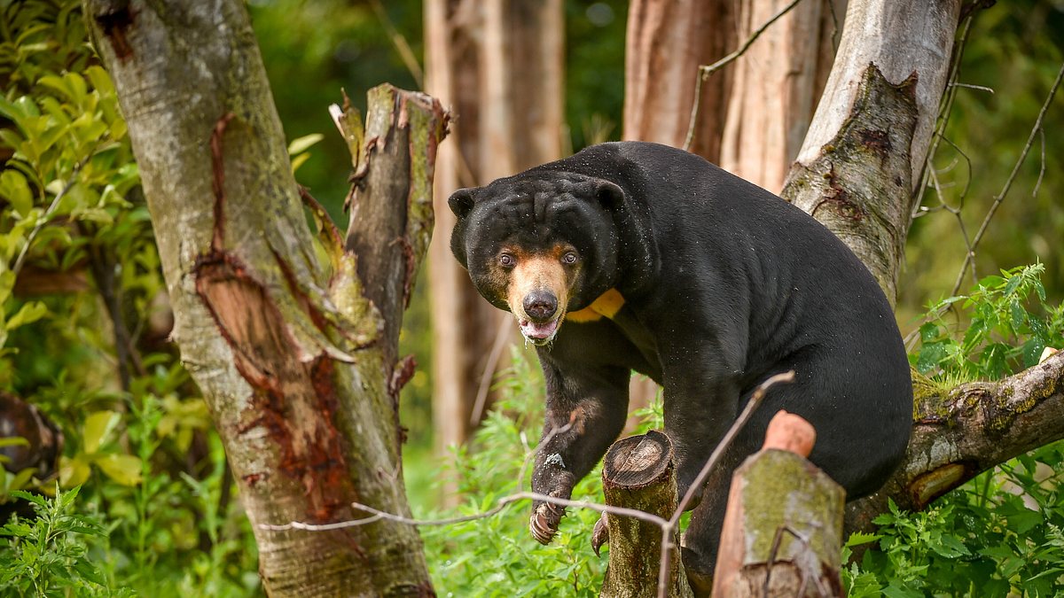 zoo und so - tierisch wild!