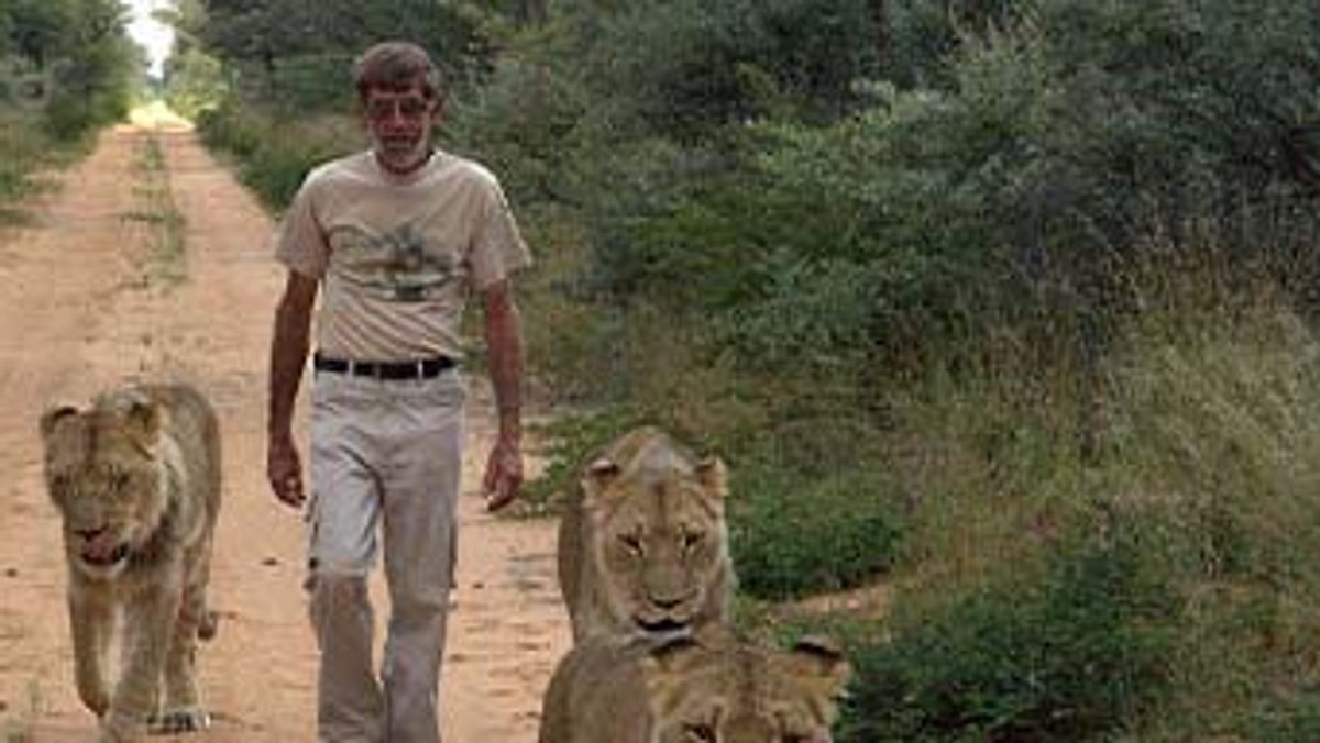 das waisenhaus für wilde tiere - abenteuer afrika