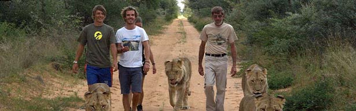 Das Waisenhaus für wilde Tiere - Abenteuer Afrika das waisenhaus für wilde tiere - abenteuer afrika