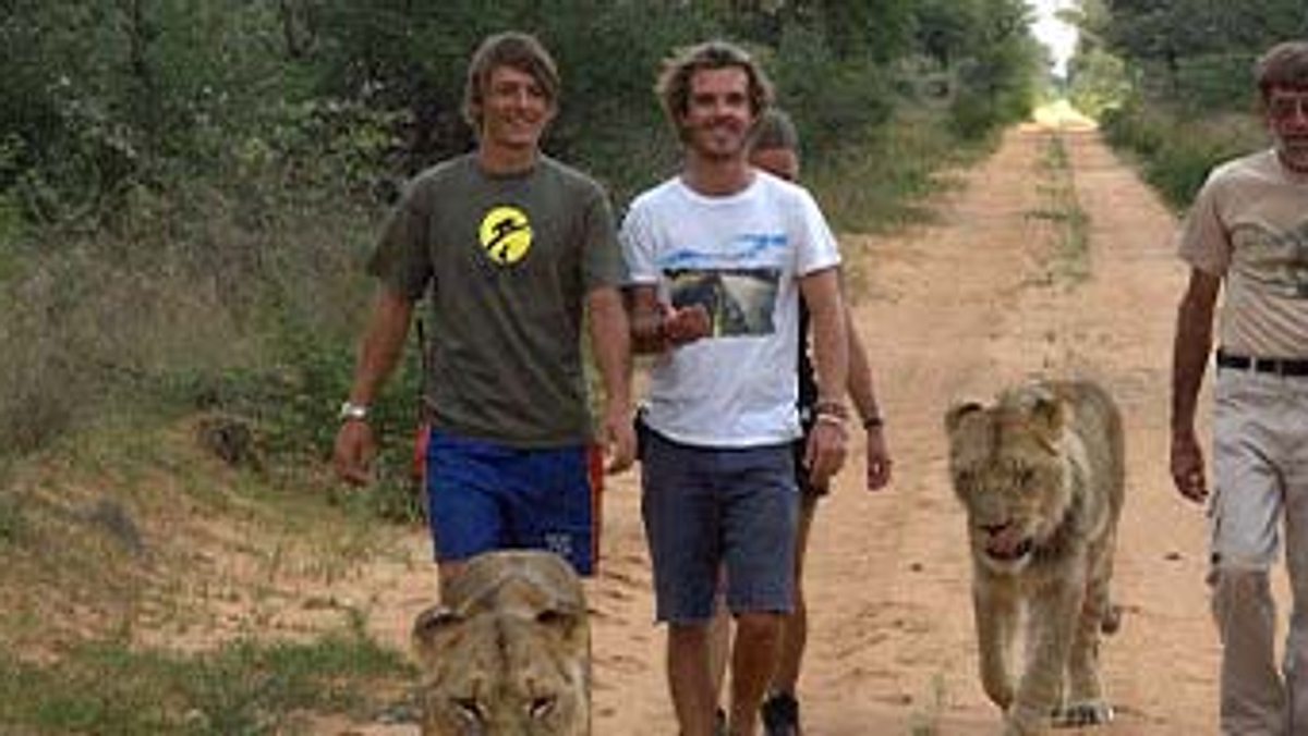 das waisenhaus für wilde tiere - abenteuer afrika