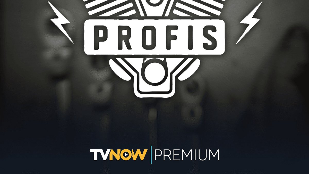 die tuning-profis