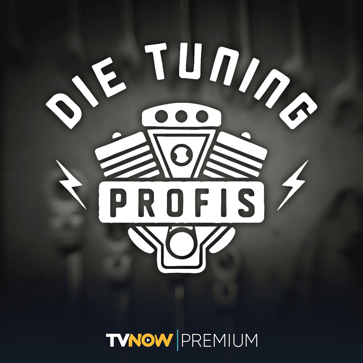 Die Tuning-Profis die tuning-profis