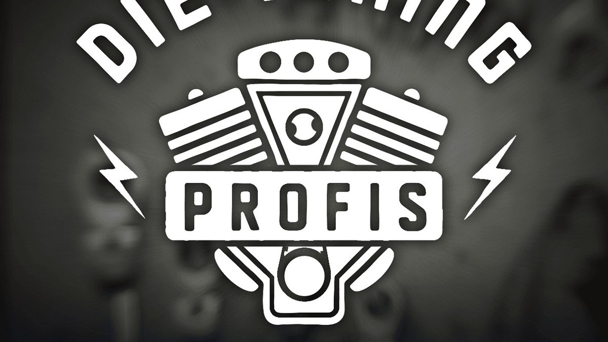 die tuning-profis