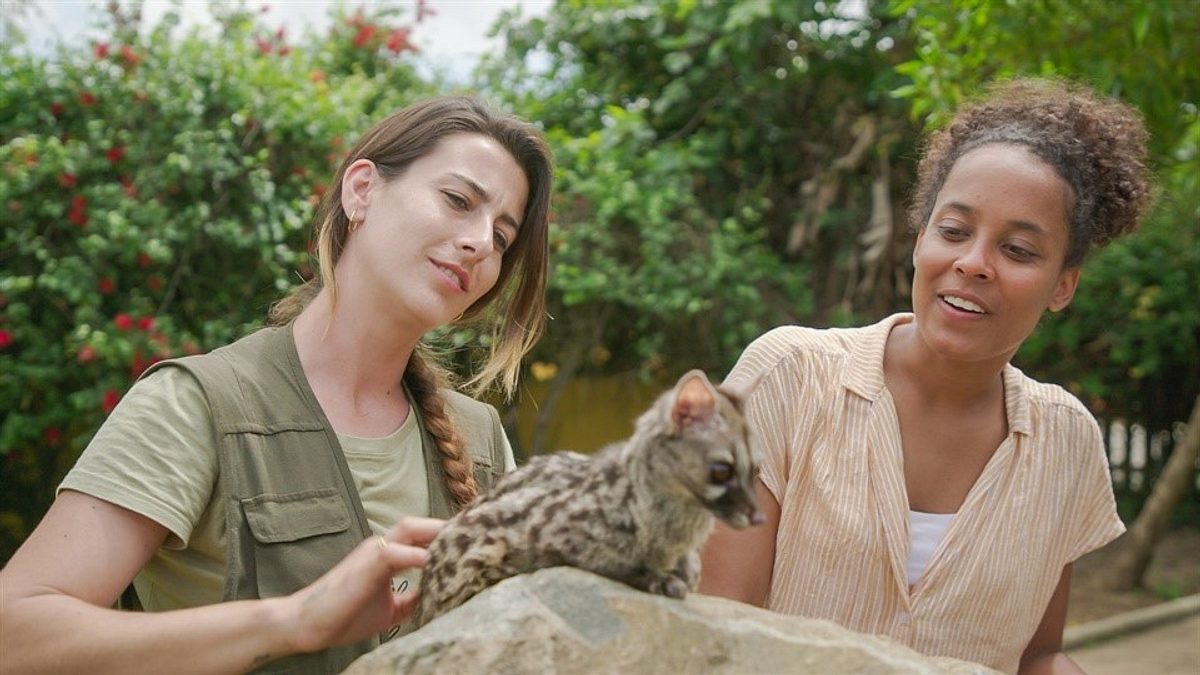Pia und die wilden Tiere pia und die wilden tiere