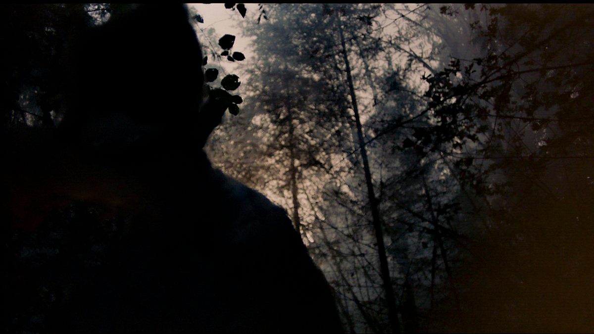 cold case files - beweismittel dna