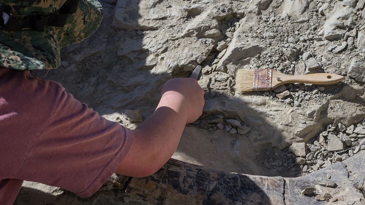 ancient aliens - unerklärliche phänomene