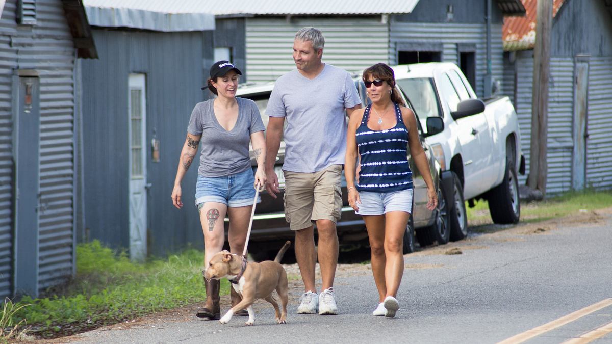 pitbulls auf bewährung