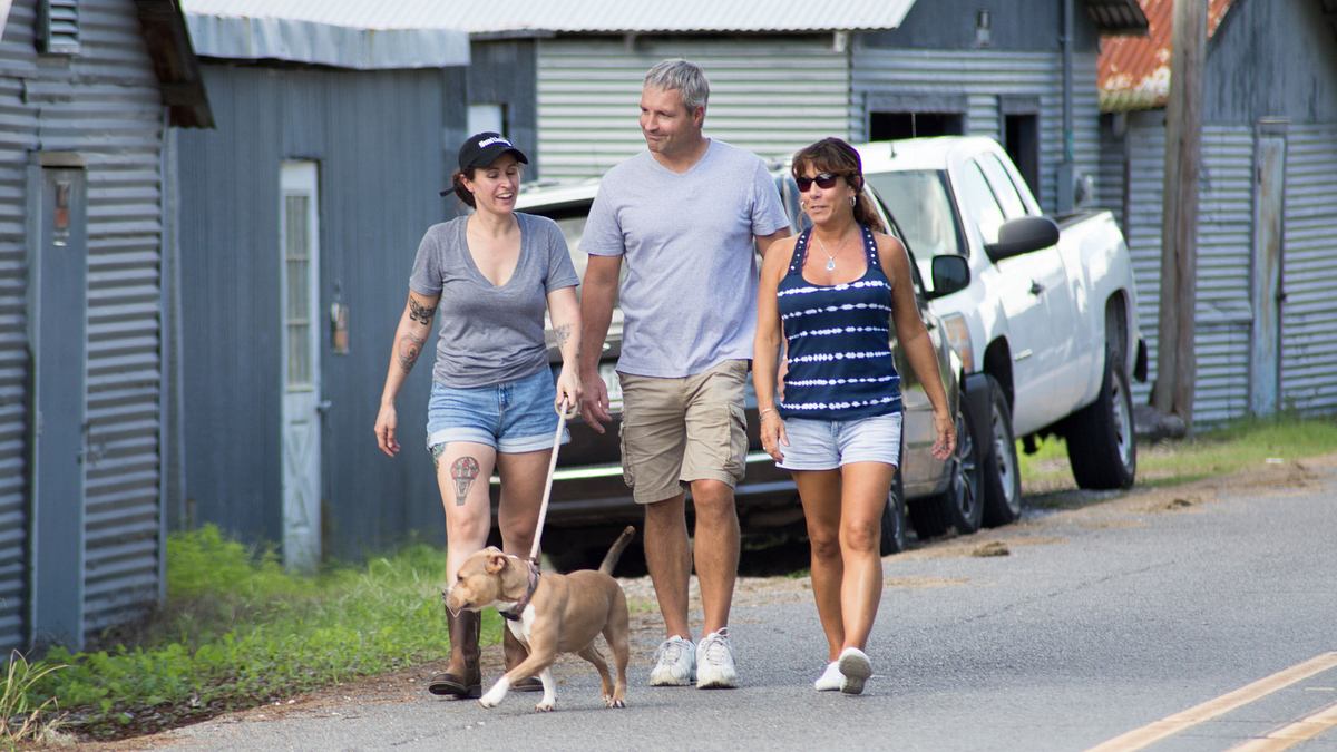 Pitbulls auf Bewährung pitbulls auf bewährung