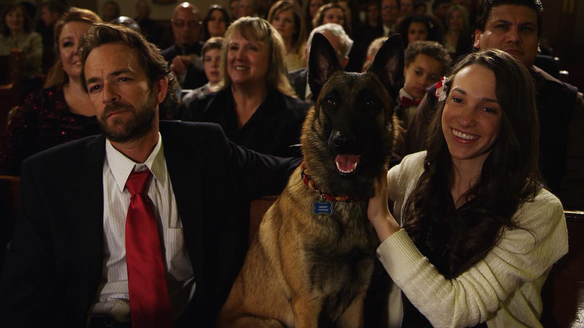 K9 - Das große Weihnachtsabenteuer K9 - Das große Weihnachtsabenteuer