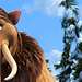 Ice Age 4 - Voll verschoben Thumbnail