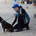 Pitbulls auf Bewährung Thumbnail