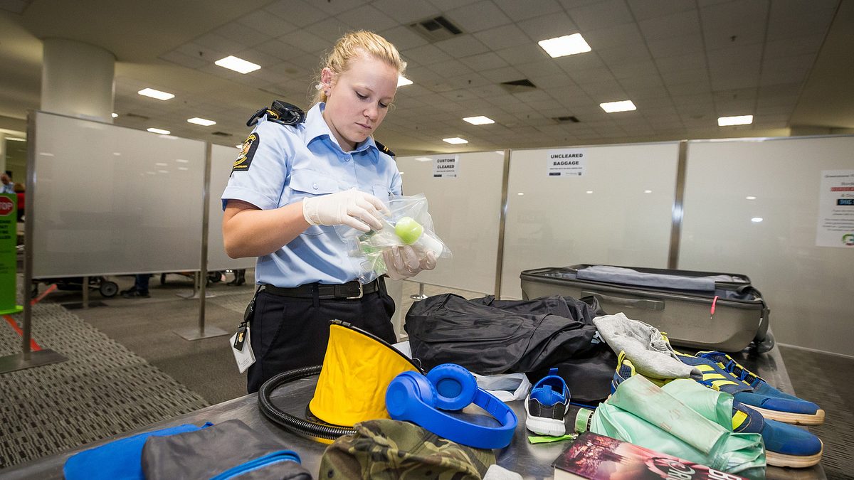 Border Patrol New Zealand - Einsatz an der Grenze border patrol new zealand - einsatz an der grenze