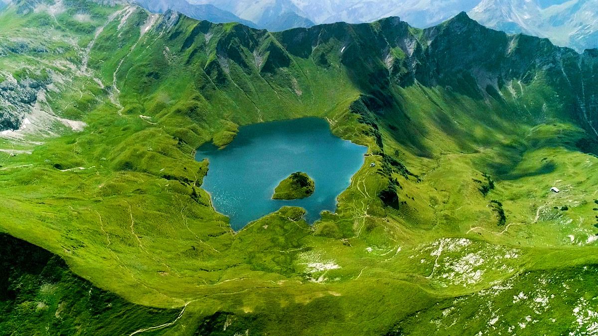 tierwelt der alpen