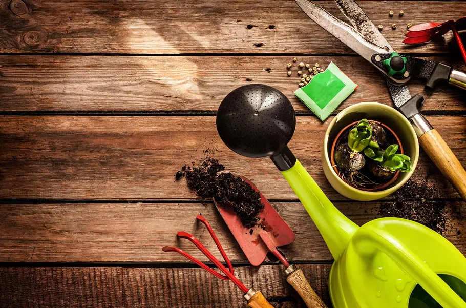 Garden Rescue: Wer rettet meinen Garten? garden rescue: wer rettet meinen garten?