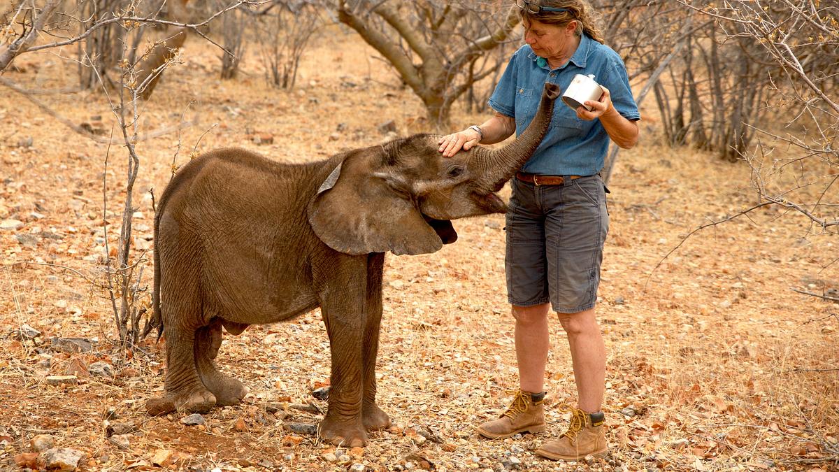 namibia - im land der letzten riesen