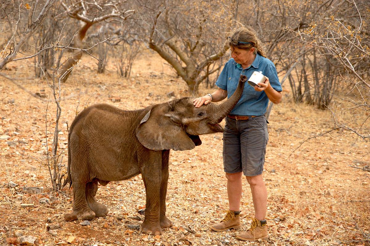 Namibia - Im Land der letzten Riesen namibia - im land der letzten riesen