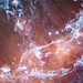 Spacetime Thumbnail
