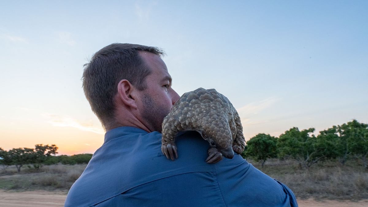 tierbabys in not: rettung in der wildnis