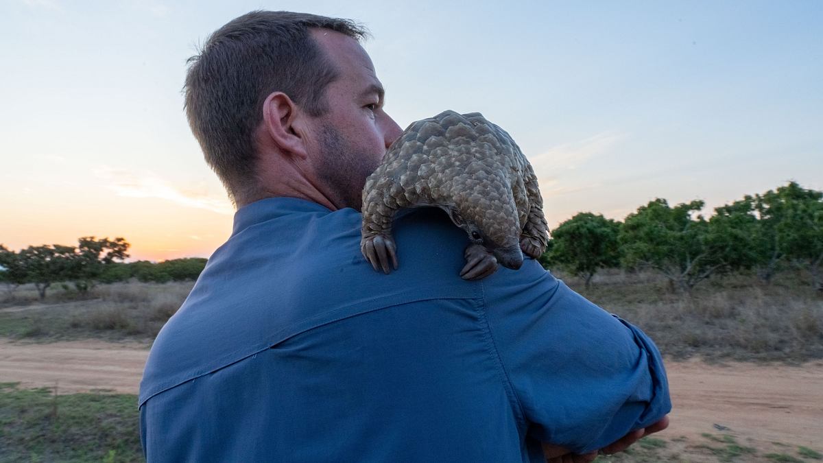 tierbabys in not: rettung in der wildnis