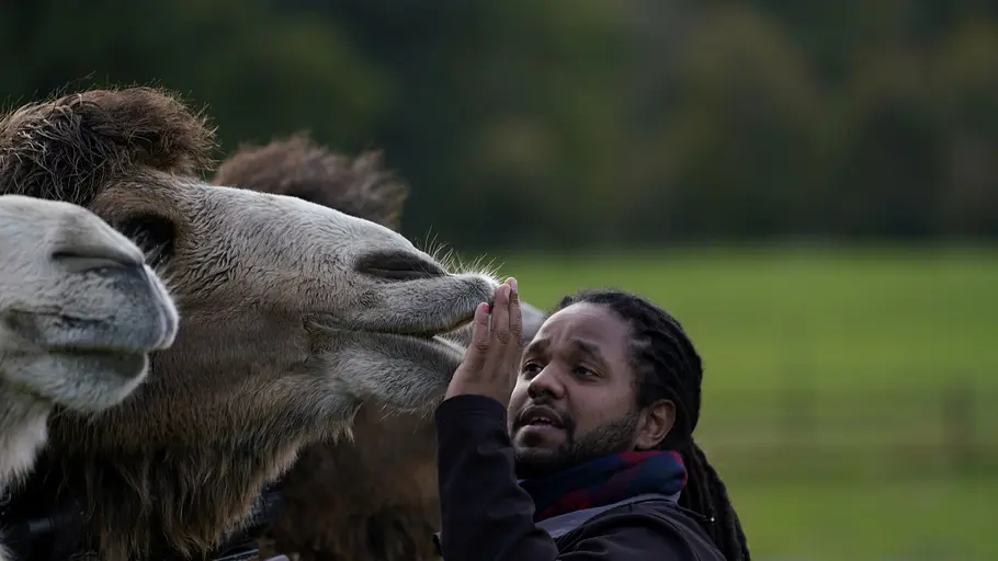 animal park: zoo-geschichten aus longleat
