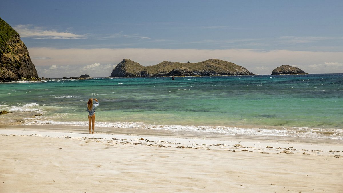 the shallows - gefahr aus der tiefe