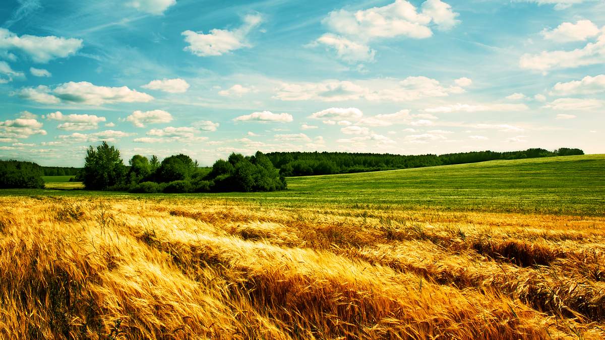 sommerwelten